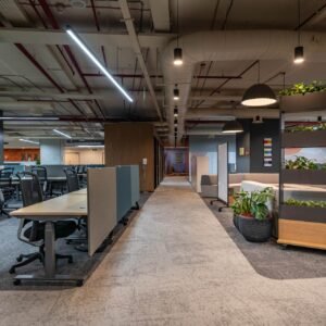 Unique Office Designs for Productivity